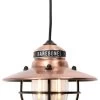 Barebones Edison Pendant Light USB