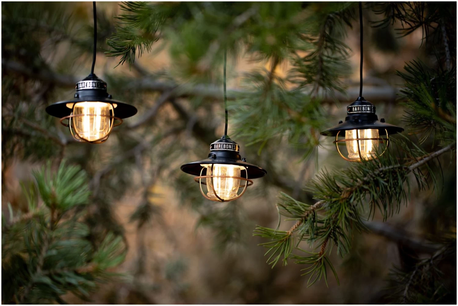 Barebones Edison String Lights 3 Pack 4 Barebones Edison String Lights 3 Pack – Image 4