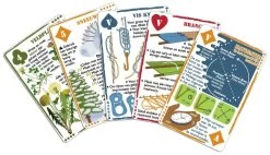Wilderniskaarten Wilderniskaarten Set Cartes à Jouer -Camping Soldes wilderniskaarten set speelkaarten 1