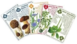 Wilderniskaarten Wilde Eetbare Flora Set Cartes à Jouer 6 Wilderniskaarten Wilde Eetbare Flora Set Cartes à Jouer -Camping Soldes wilderniskaarten wilde eetbare flora set speelkaarten 1