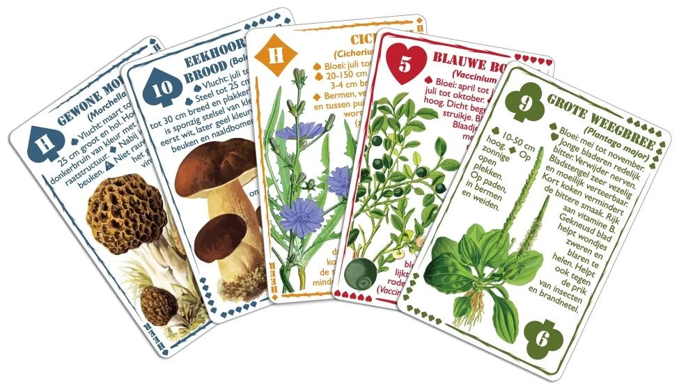Wilderniskaarten Wilde Eetbare Flora Set Cartes à Jouer 3 Wilderniskaarten Wilde Eetbare Flora Set Cartes à Jouer – Image 3